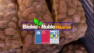 Biob&iacute;o - &Ntilde;uble Rural