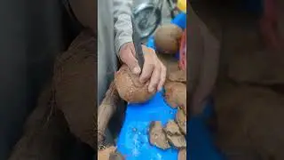 How to peel off Coconut | Coconut peel off by expert | Coconut world