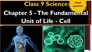 Intext question| fundamental unit of life| science|biology