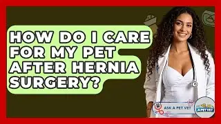 How Do I Care For My Pet After Hernia Surgery? - Ask A Pet Vet