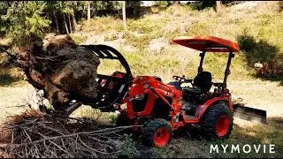Kubota B2301 vs Ghidorah the Monster Stump. Who will win this epic battle.