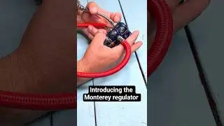 Great intermediate regulator that you can customize to fit your diving needs 🤿#scubadiving #nexdive
