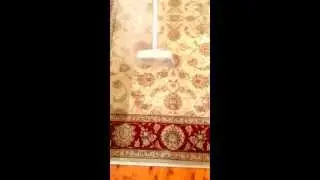 Professional Rug Cleaning Central Coast