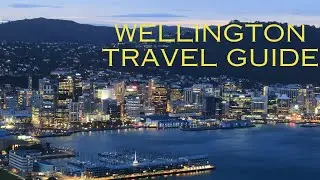 Top 15 Places to Visit in Wellington and Travel Guide