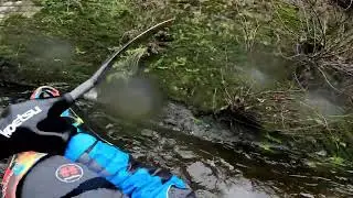 River dee trip 25.1.2026 