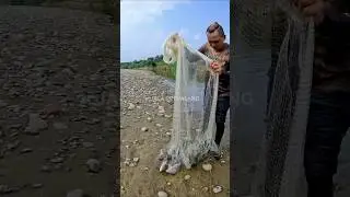 AIR SUNGAI TENANG BANYAK IKAN #shorts
