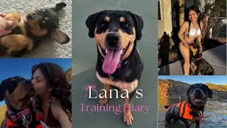 🐾 Lana’s Training Diaries | Episode 1 — Skating, Trust & Our Journey