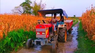 Eicher 242 tractor transporting ballast through muddy and waterlogged roads