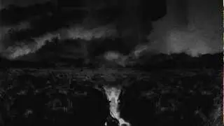 Shape of Despair - Quiet These Paintings Are
