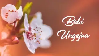 Brady Kenya - BEBI UNGEJUA (Lyric Video)