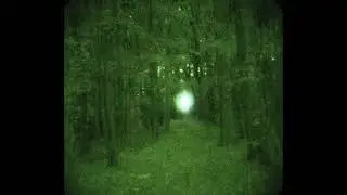 [FREE] experimental x acoustic indie type beat - 