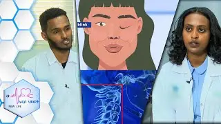“የፊት መዞር ህመም መጋኛ አይደለም…” እና የአንገት ህመም /NEW LIFE EP 380