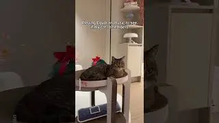 Отличный вариант.