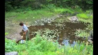 The Acadia National Park Bio Blitzes