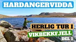 Friluftsliv - Hardangervidda - Vikbekkfjell - Synken - Holken og videre innover - Del 1/3