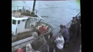 Haferninum sökkt 18.11.1984