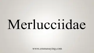 How To Say Merlucciidae