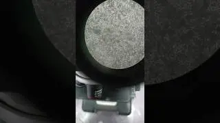 Colgate paste in microscope #shorts