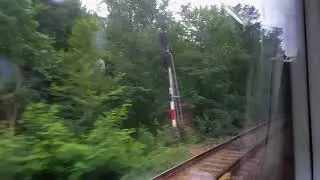Pădurea B&acirc;rnova (județul Iași) din tren, 8.07.2018