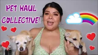 Juicy Couture Pet? Collective Pet Haul! TJ Maxx, Ross, and Burlington!!!