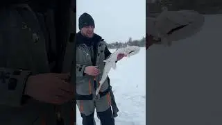 Мужские выходные в Беларуси