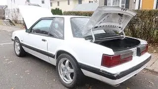 New York Mustang Foxbody Notch
