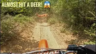 I Almost Hit A Deer... 2001 CR80 Wide Open Ripping!