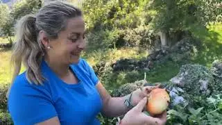 Vamos a cocinar redondo de buey con redución de bebida de dioses sobre una base de patata crujiente
