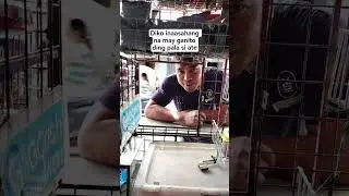kala ko ako lang mayron nito #buhaymarino #tagaticao #tagasanjacinto