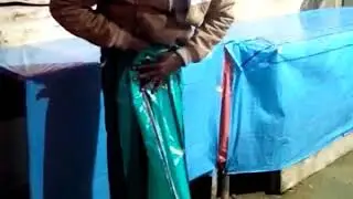 Nasoni No.1 - 2018