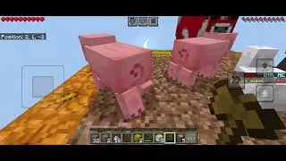 SKY BLOCKS😱 