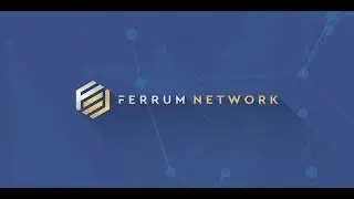 Review - Ferrum Network ICO