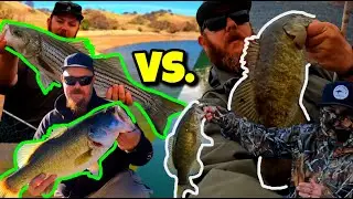 TWO SIDES of ONE LAKE! (The Truth about Fishing Lake Del Valle!)