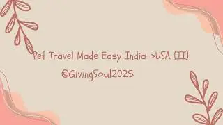 International Travel | Pet in Cabin | Documents