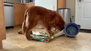 SELF-CONFIDENCE building exercise using leftover gift wrap