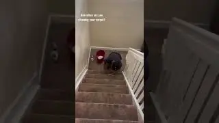 Carpet cleaning | cleaning the stairs
