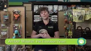 Pet Evolution - Meet Amber