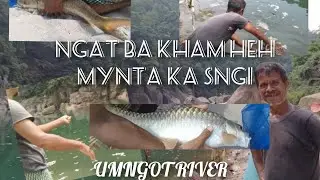 Finally Caught A Golden Mahseer