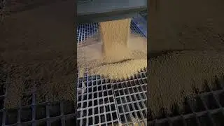 Dumping Soybeans #harvest #harvest2023 #metallica #fuel #food #soybean #agriculture #farming #farm