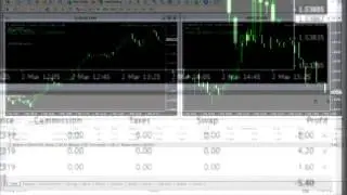 Forex PREMIUM Scalper Robot Performance: +100 pips in 100% AUTO mode