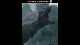 Dinosaur ki Real Awaaz 🤯| #shorts #shortvideo #dinosaur