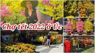 Nhộn nhịp chợ tết &Uacute;c 2022/Sang La &Uacute;c Ch&acirc;u