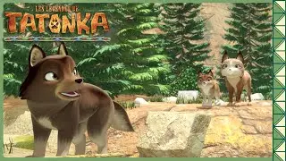 Les Leçons de la Nature ! 📚🌿 Compilation inédite | Tatonka