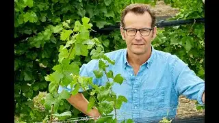 Huff Estates Story with Fr&eacute;d&eacute;ric Picard