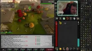 Tithe Farm or Something - First Time OSRS: HCIM Day 71