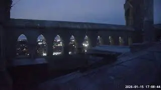 Andover peregrines
