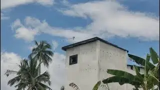Kiriman video Binaan di gorontalo utara, sp king birahi & AUDAX  makin hari makin mantap👍