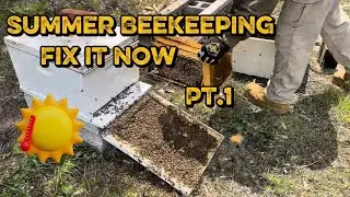 Summer Beekeeping part 1. “Fixing issues”