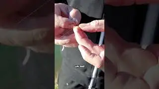 VOLETE LEGARE UNA CAMOLA BIG? Il tutorial by Mirco Venturelli #fishing #pesca #trout #fishingtips