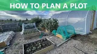 How to Plan Your Allotment Garden | Plotting and Planning | Grow Veg | Mark's Allotment Plot
